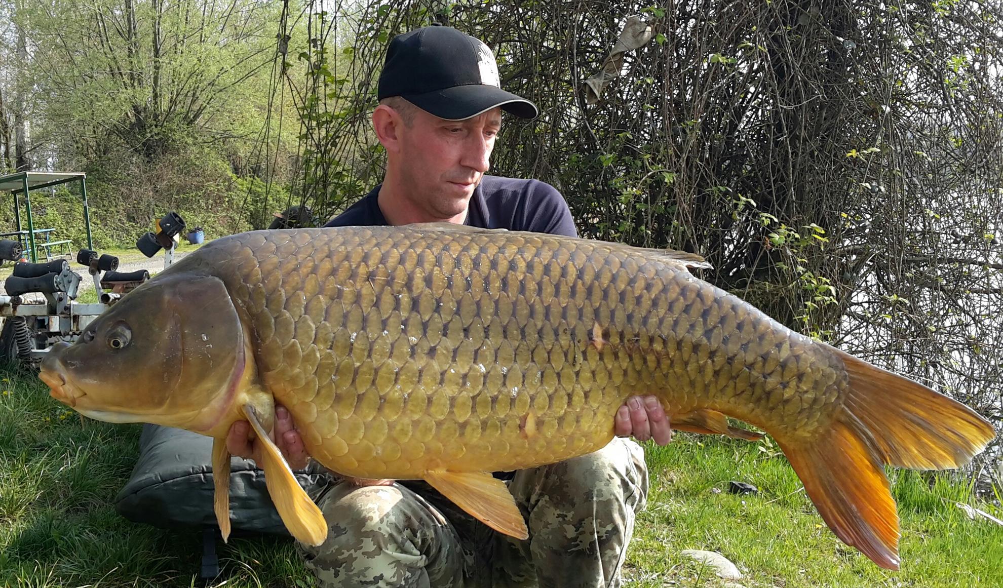 Florian Tanasa - 20150411170322-1.jpg